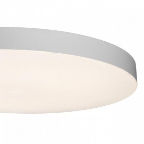 Накладной светильник Sonex Gamma 7759/36L в Заречном - zarechnyy.ok-mebel.com | фото 7