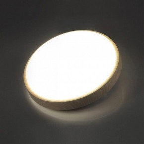 Накладной светильник Sonex Losta 7607/CL в Заречном - zarechnyy.ok-mebel.com | фото 3