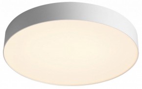 Накладной светильник Sonex Optima 7779/EL в Заречном - zarechnyy.ok-mebel.com | фото 3