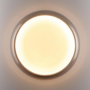 Накладной светильник Sonex PORTMAN 7777/ELN в Заречном - zarechnyy.ok-mebel.com | фото 5