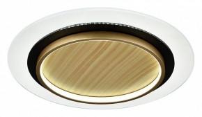 Накладной светильник Sonex Sunny 7731/80L в Заречном - zarechnyy.ok-mebel.com | фото