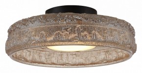 Накладной светильник ST-Luce ANTIKE SL6143.422.01 в Заречном - zarechnyy.ok-mebel.com | фото 3