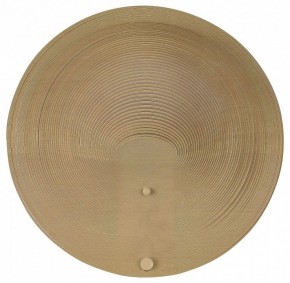 Накладной светильник ST-Luce Fossil SL6900.501.16 в Заречном - zarechnyy.ok-mebel.com | фото
