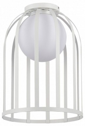 Накладной светильник ST-Luce Nordic SL6129.502.01 в Заречном - zarechnyy.ok-mebel.com | фото