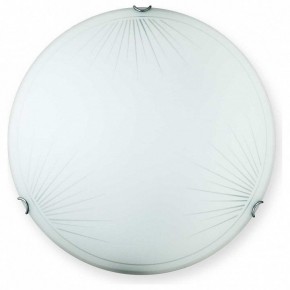 Накладной светильник TopLight Wifa TL9142Y-00WH в Заречном - zarechnyy.ok-mebel.com | фото