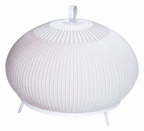 Настольная лампа декоративная Divinare Firefly 1808/33 TL-50 в Заречном - zarechnyy.ok-mebel.com | фото