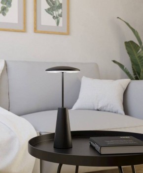 Настольная лампа декоративная Eglo PICCOLA 900925 в Заречном - zarechnyy.ok-mebel.com | фото 4