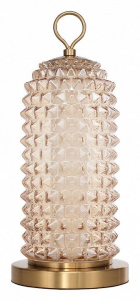 Настольная лампа декоративная ST-Luce SAGUARO SL6144.304.01 в Заречном - zarechnyy.ok-mebel.com | фото