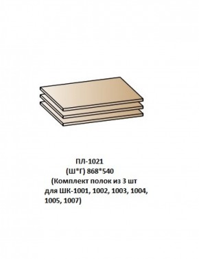 ПЛ-1021 (Комплект полок из 3 шт для ШК-1001, 1002, 1003, 1004, 1005, 1007) в Заречном - zarechnyy.ok-mebel.com | фото