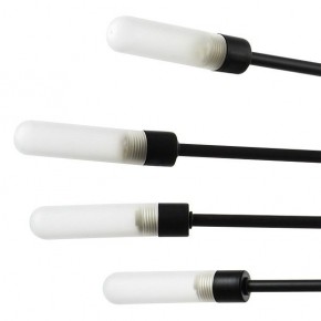 Подвесная люстра Lightstar Ragno 733187 в Заречном - zarechnyy.ok-mebel.com | фото 5