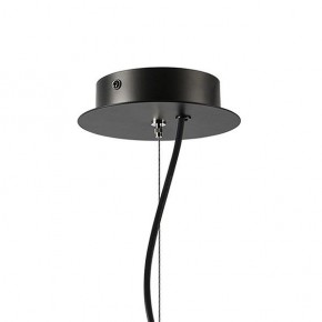 Подвесная люстра Lightstar Ragno 733187 в Заречном - zarechnyy.ok-mebel.com | фото 7