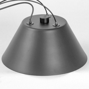 Подвесная люстра Lussole Hopkins LSP-7408 в Заречном - zarechnyy.ok-mebel.com | фото 7