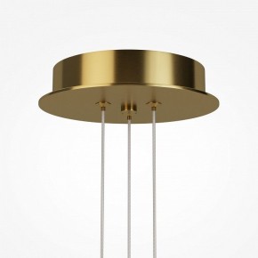 Подвесная люстра Maytoni Arana MOD401PL-L108BS3K в Заречном - zarechnyy.ok-mebel.com | фото 7