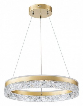 Подвесной светильник Arte Lamp Apollo A2549SP-75GO в Заречном - zarechnyy.ok-mebel.com | фото 2