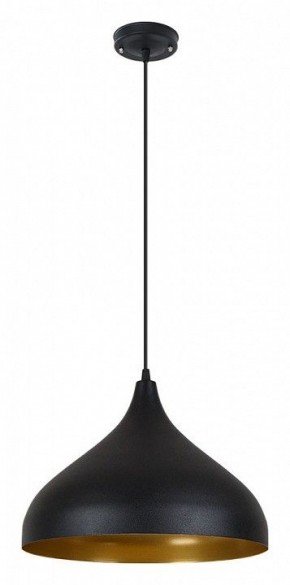 Подвесной светильник Arte Lamp Carmel A7076SP-1BK в Заречном - zarechnyy.ok-mebel.com | фото 2