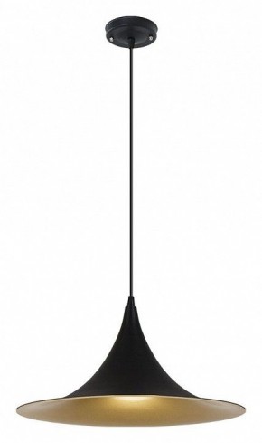 Подвесной светильник Arte Lamp Carmel A7080SP-1BK в Заречном - zarechnyy.ok-mebel.com | фото 2