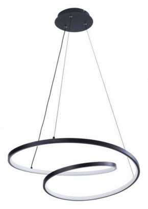 Подвесной светильник Arte Lamp Millo A3893SP-30BK в Заречном - zarechnyy.ok-mebel.com | фото 2