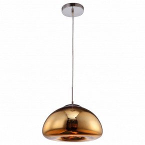 Подвесной светильник Arte Lamp Swift A8041SP-1GO в Заречном - zarechnyy.ok-mebel.com | фото 2