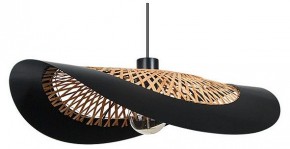 Подвесной светильник Arte Lamp Woodstock A7059SP-1BK в Заречном - zarechnyy.ok-mebel.com | фото