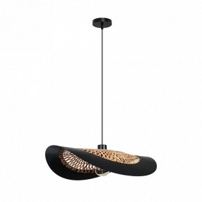 Подвесной светильник Arte Lamp Woodstock A7059SP-1BK в Заречном - zarechnyy.ok-mebel.com | фото 2