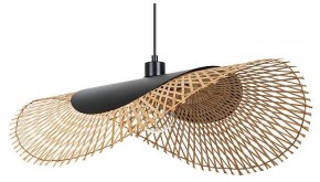Подвесной светильник Arte Lamp Woodstock A7063SP-1BK в Заречном - zarechnyy.ok-mebel.com | фото