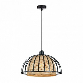 Подвесной светильник Arte Lamp Woodstock A7071SP-1BK в Заречном - zarechnyy.ok-mebel.com | фото