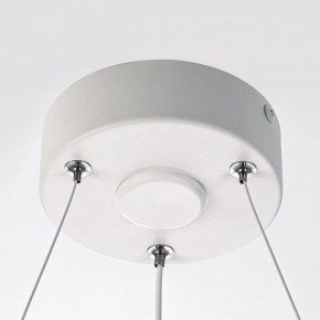 Подвесной светильник Citilux Trio CL215B050 в Заречном - zarechnyy.ok-mebel.com | фото 10