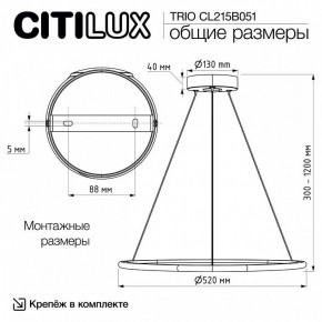 Подвесной светильник Citilux Trio CL215B051 в Заречном - zarechnyy.ok-mebel.com | фото 8
