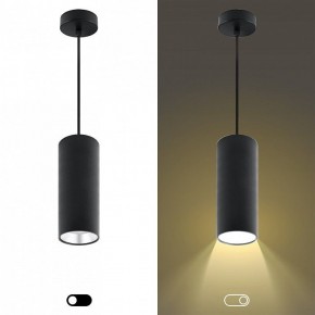 Подвесной светильник Эра  PL12 GX53 BK/SL в Заречном - zarechnyy.ok-mebel.com | фото 5