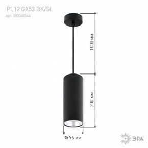 Подвесной светильник Эра  PL12 GX53 BK/SL в Заречном - zarechnyy.ok-mebel.com | фото 8
