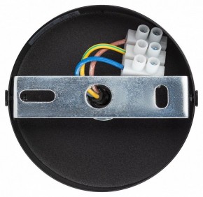 Подвесной светильник Эра  PL12 GX53 BK/SL в Заречном - zarechnyy.ok-mebel.com | фото 9