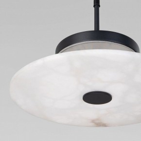 Подвесной светильник Eurosvet Thasos 40342 LED черный в Заречном - zarechnyy.ok-mebel.com | фото 8