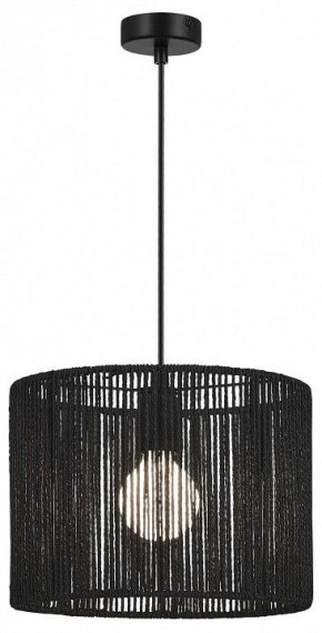 Подвесной светильник EVOLUCE ETTAN SLE6024-403-01 в Заречном - zarechnyy.ok-mebel.com | фото 2