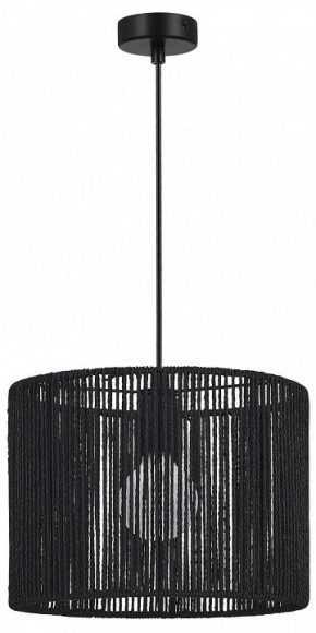 Подвесной светильник EVOLUCE ETTAN SLE6024-403-01 в Заречном - zarechnyy.ok-mebel.com | фото 4