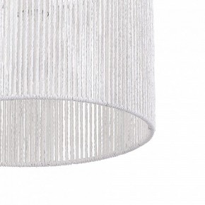 Подвесной светильник EVOLUCE ETTAN SLE6024-503-01 в Заречном - zarechnyy.ok-mebel.com | фото 8