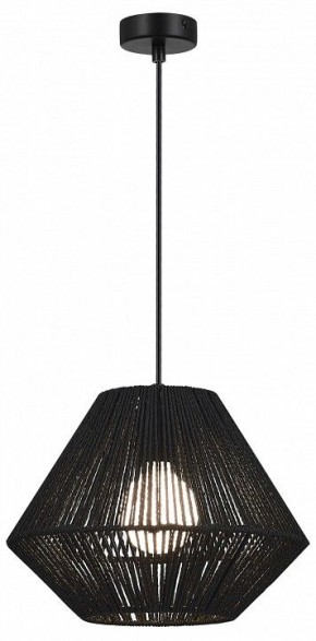 Подвесной светильник EVOLUCE ETTAN SLE6025-403-01 в Заречном - zarechnyy.ok-mebel.com | фото 2
