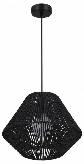 Подвесной светильник EVOLUCE ETTAN SLE6025-403-01 в Заречном - zarechnyy.ok-mebel.com | фото 4