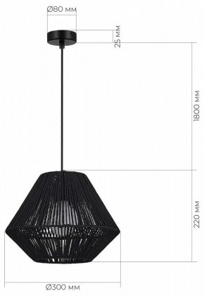 Подвесной светильник EVOLUCE ETTAN SLE6025-403-01 в Заречном - zarechnyy.ok-mebel.com | фото 5