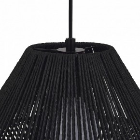 Подвесной светильник EVOLUCE ETTAN SLE6025-403-01 в Заречном - zarechnyy.ok-mebel.com | фото 7