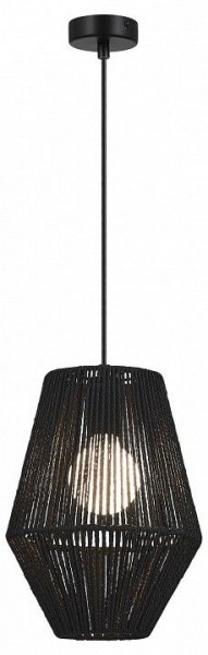 Подвесной светильник EVOLUCE ETTAN SLE6025-413-01 в Заречном - zarechnyy.ok-mebel.com | фото 2