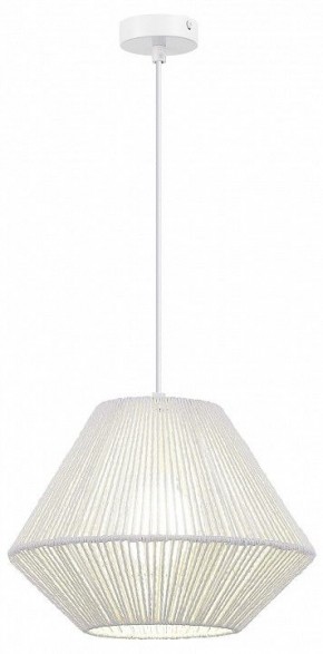 Подвесной светильник EVOLUCE ETTAN SLE6025-503-01 в Заречном - zarechnyy.ok-mebel.com | фото