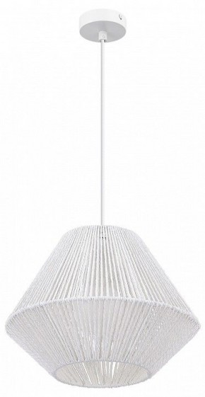 Подвесной светильник EVOLUCE ETTAN SLE6025-503-01 в Заречном - zarechnyy.ok-mebel.com | фото 3