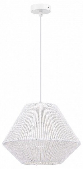 Подвесной светильник EVOLUCE ETTAN SLE6025-503-01 в Заречном - zarechnyy.ok-mebel.com | фото 4