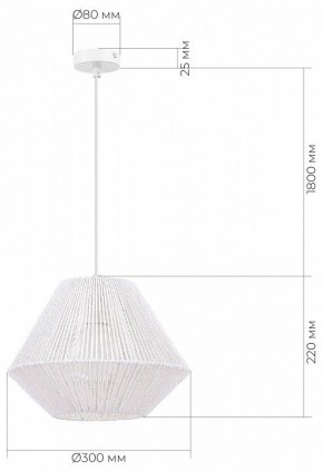 Подвесной светильник EVOLUCE ETTAN SLE6025-503-01 в Заречном - zarechnyy.ok-mebel.com | фото 6