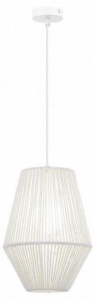 Подвесной светильник EVOLUCE ETTAN SLE6025-513-01 в Заречном - zarechnyy.ok-mebel.com | фото