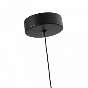 Подвесной светильник Favourite Cattivo 4452-1P в Заречном - zarechnyy.ok-mebel.com | фото 7