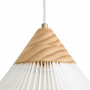 Подвесной светильник Freya Kinsley FR5533PL-01BS в Заречном - zarechnyy.ok-mebel.com | фото 8