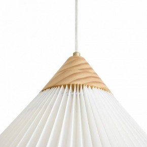 Подвесной светильник Freya Kinsley FR5533PL-01BS1 в Заречном - zarechnyy.ok-mebel.com | фото 8