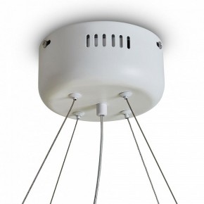 Подвесной светильник Freya Rain FR5546PL-L60W в Заречном - zarechnyy.ok-mebel.com | фото 9