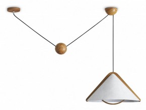 Подвесной светильник Freya Umbra FR5554CL-01T в Заречном - zarechnyy.ok-mebel.com | фото